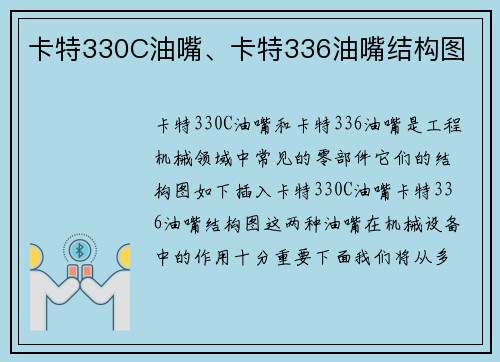 卡特330C油嘴、卡特336油嘴结构图